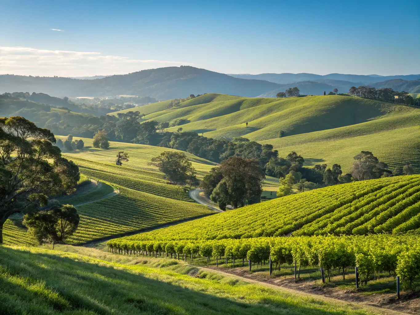 A landscape view of Wangaratta, Victoria, highlighting its vineyards and agricultural landscapes.