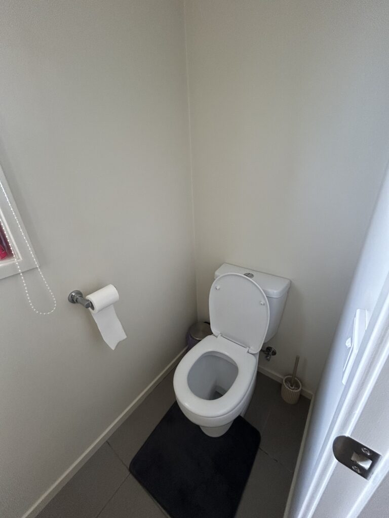 Toilet sanitised and disinfected as part of bathroom deep cleaning – Albury NSW
