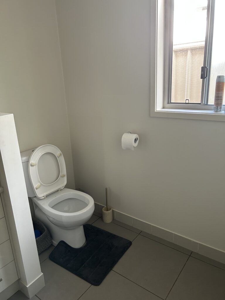 Second toilet cleaned and sanitised during deep cleaning job – Albury NSW