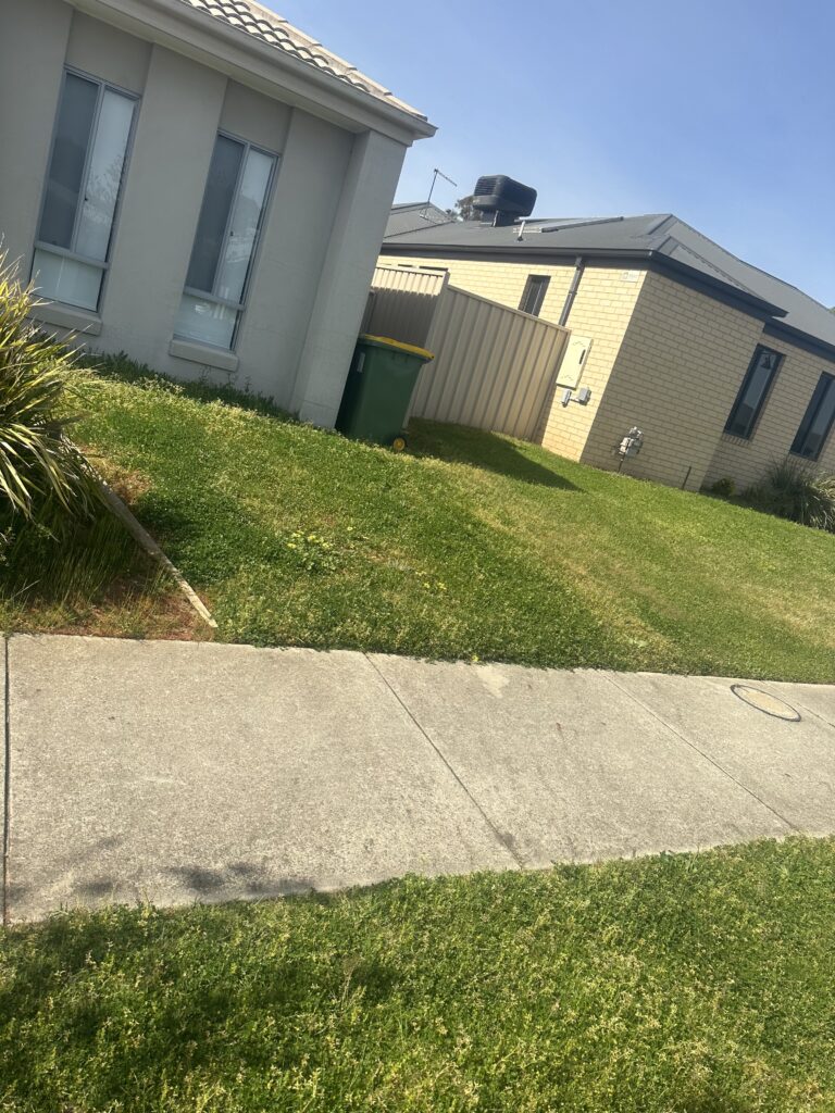 Side lawn before mowing near house facade – Premium Peak Cleaning Co Wodonga