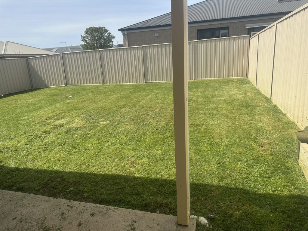 Backyard after mowing – clean and even grass freshly cut in Wodonga