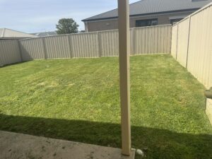 Backyard after mowing – clean and even grass freshly cut in Wodonga
