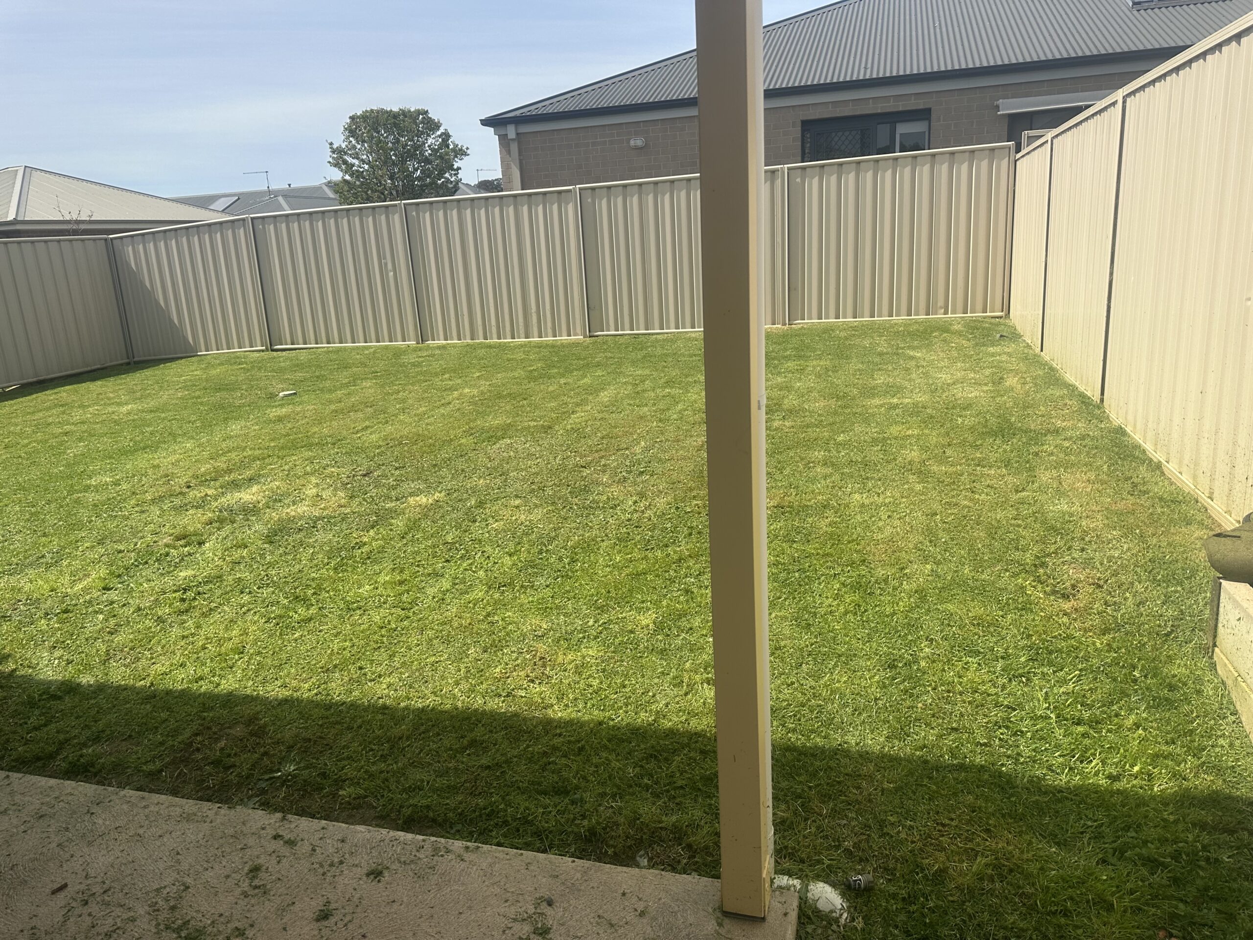 Backyard after mowing – clean and even grass freshly cut in Wodonga