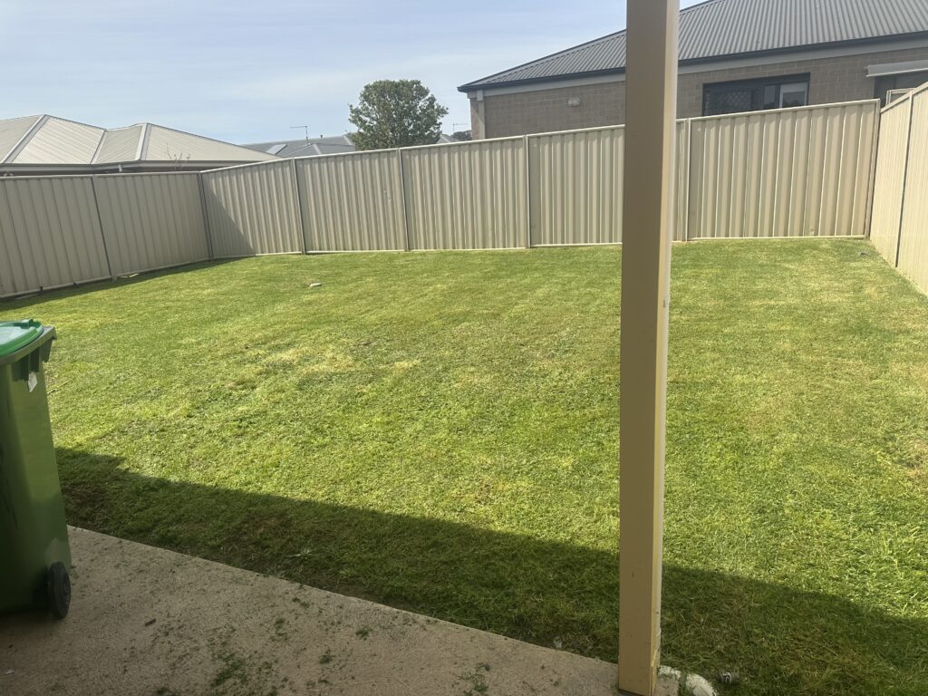 Backyard lawn after mowing – well-trimmed green grass maintained by Premium Peak Cleaning