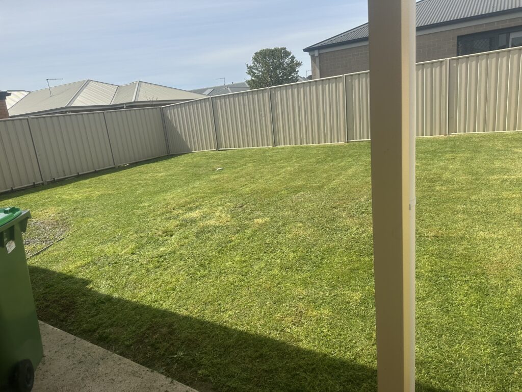 Backyard after mowing – neat lawn with perfect cut lines in Wodonga Victoria